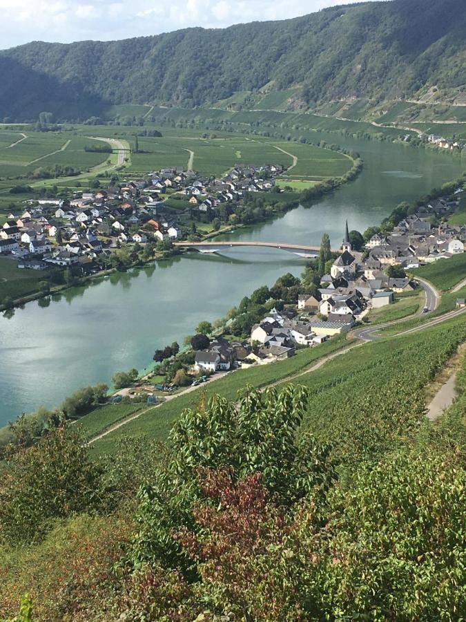 Eifel-Moezelhuis Bergweiler Dış mekan fotoğraf